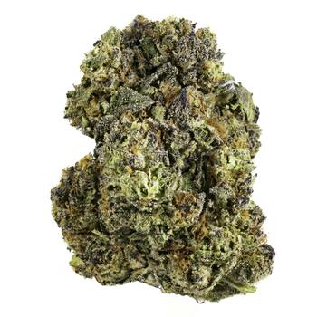 Purpscotti - 28G Premium Flower