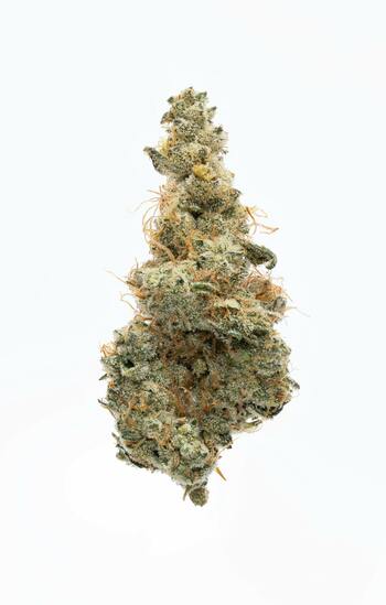 Garlic Juice - 3.5G Top Shelf Indoor Flower - Headstash