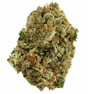 Tropical Zlushie - 14G Premium Flower