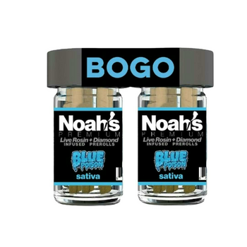 Noah